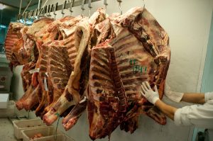 Sube el precio de exportación de la carne