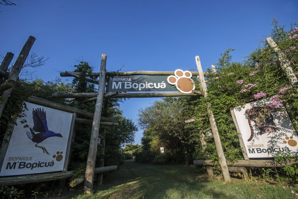 La historia de Juan Villalba director del bioparque M’Bopicuá: dedicó su vida a  la preservación de la fauna y flora