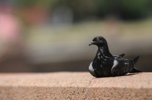 Pronóstico del tiempo de José María Rodríguez