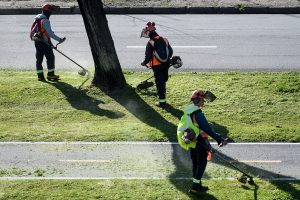 Mejora el empleo juvenil