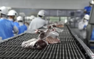 Anuario de INAC: tercer registro más alto en faena de vacunos y segundo mayor en exportación de carne ovina