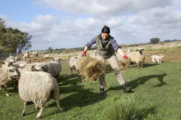 Se celebra hoy con distintas actividades en San Jacinto el Día de la Mujer Rural