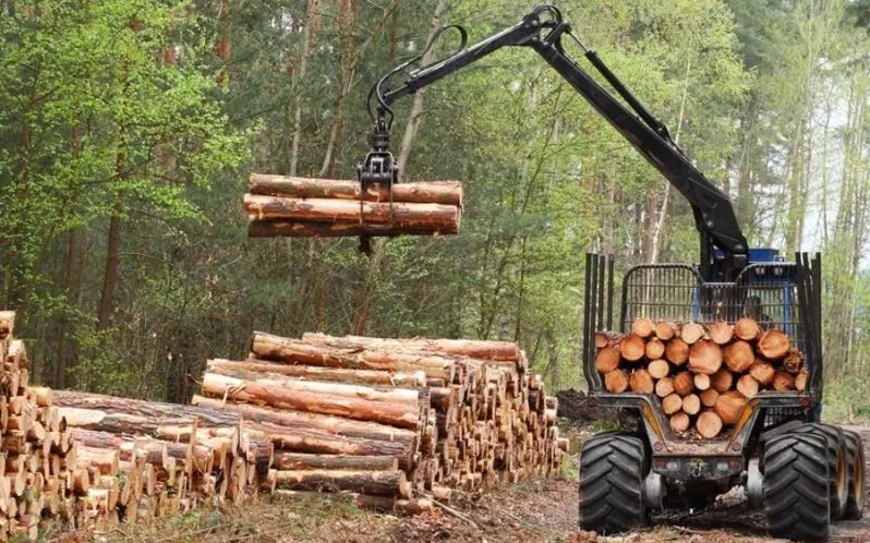 “Está demostrado” que “se puede volver atrás”, luego de terminar el ciclo forestal, dijo gerente de Montes del Plata