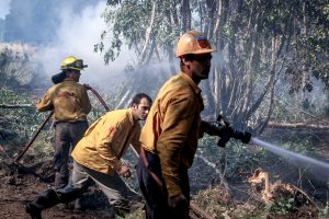 Bomberos contará para la próxima temporada de verano con un sistema de monitoreo y alerta automática de incendios con geolocalización