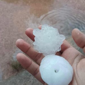 Cerro Largo: fuerte granizada y vientos generaron daños en hogares y en la producción agrícola en Noblia