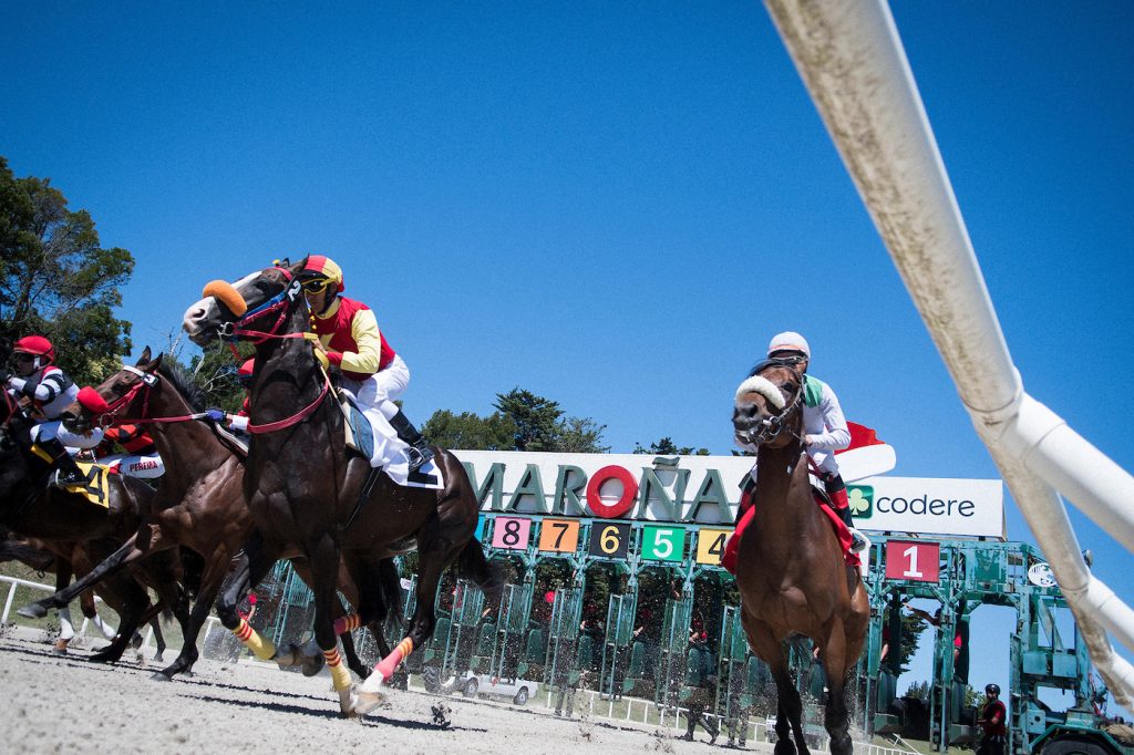 Gran Premio Ramírez: El turf de fiesta este 6 de enero