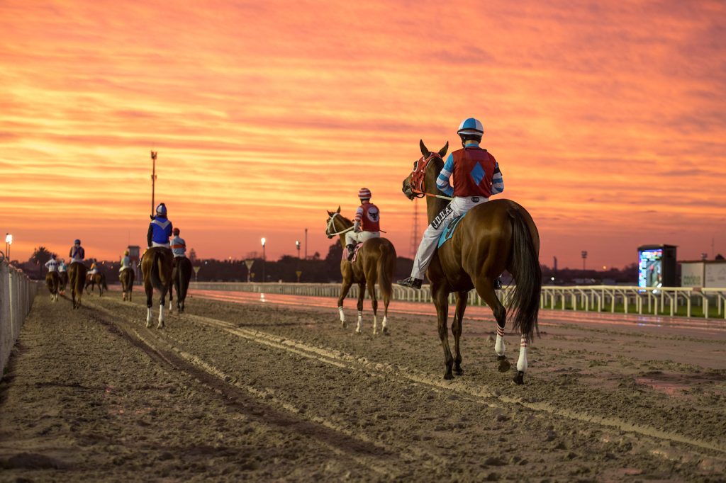 Gran Premio Ramírez: Será uno de los más competitivos de la historia, por la cantidad y la calidad de los caballos