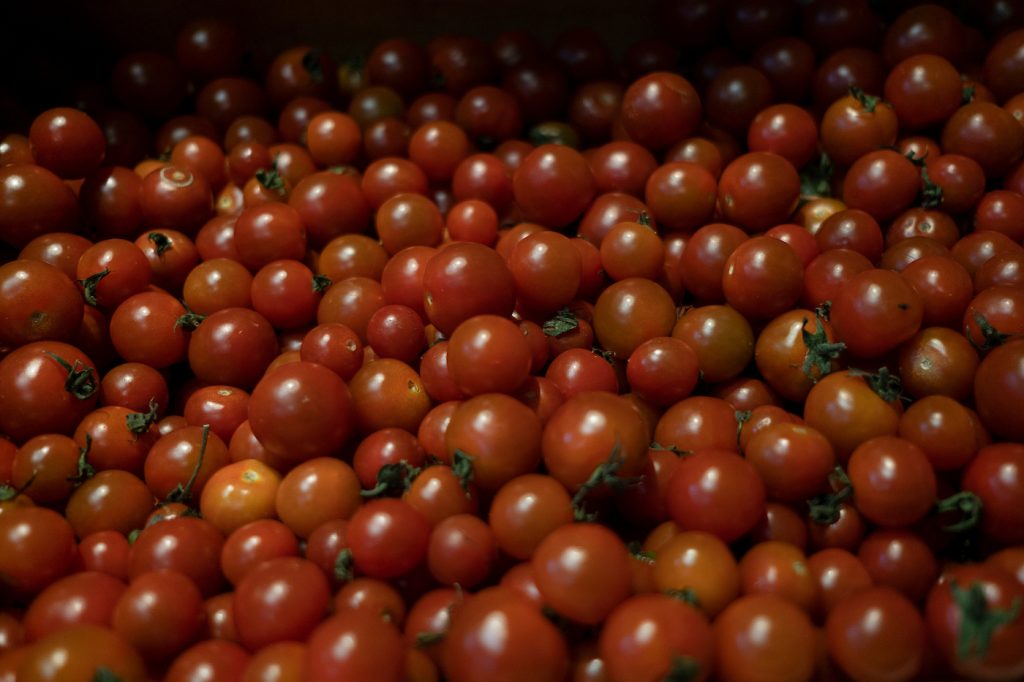 La UAM reportó una buena producción de frutas y verduras