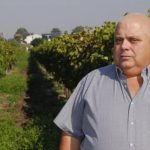 Presidente del Centro de Viticultores del Uruguay: “El sector está en una crisis muy fuerte”