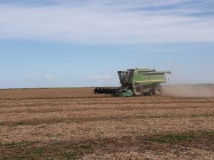 Buenas perspectivas agrícolas pese a precios ajustados