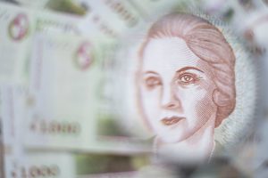 Balance 2024 y perspectivas 2025 | Análisis del Centro de Estudios para el Desarrollo