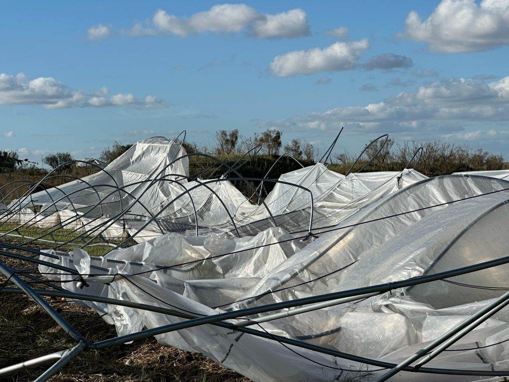 BSE destinará 1,5 millones de dólares para atender las consecuencias del temporal que afectó al país el jueves pasado