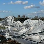 BSE recibió 60 denuncias por seguros del sector agropecuario tras el temporal del pasado jueves BSE recibió 60 denuncias por seguros del sector agropecuario tras el temporal del pasado jueves