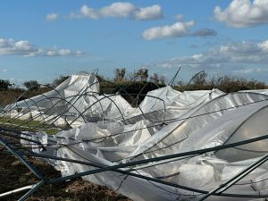 BSE destinará 1,5 millones de dólares para atender las consecuencias del temporal que afectó al país el jueves pasado