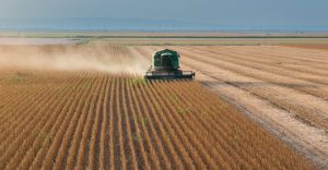 Haciendas, lanas, agricultura y más: el Valor Agregado de este lunes