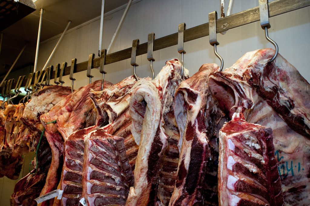 Se afirma el precio del ganado para faena