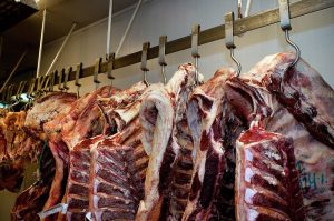 Se afirma el precio del ganado para faena