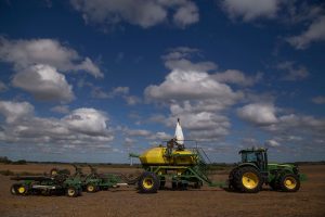 Se confirman altos rendimientos de soja