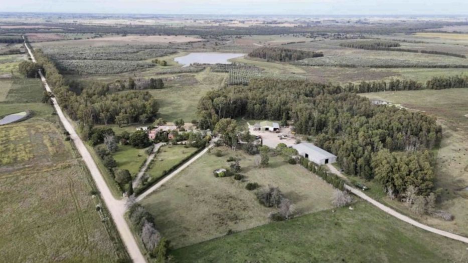 Colonización y el trabajo en el campo