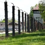 80 años del fin de la Segunda Guerra Mundial