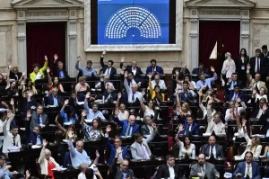 Por un voto de diferencia, el Senado rechazó el proyecto de Ficha Limpia