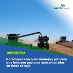 Rotaciones con buen manejo y planteos que incluyen pasturas marcan un plus en rinde de soja Rotaciones con buen manejo y planteos que incluyen pasturas marcan un plus en rinde de soja