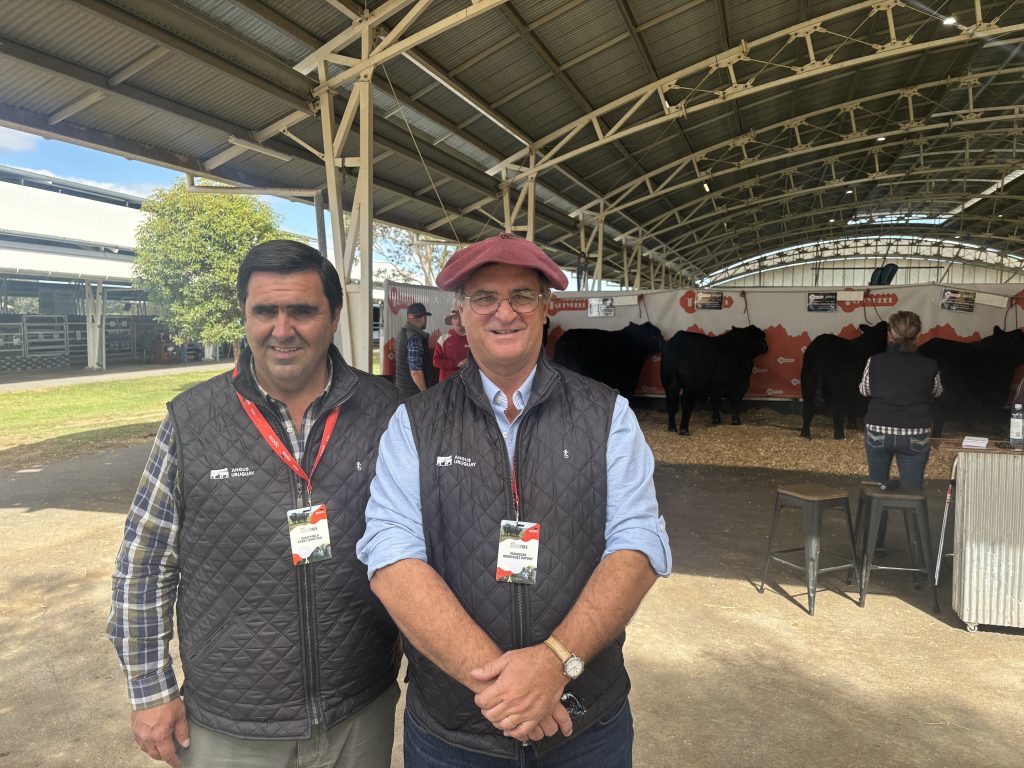 Angus uruguayo: aprendizaje y comparaciones desde el foro mundial en Australia