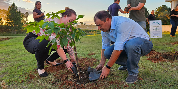 Investigadores de UTEC transforman una maleza y residuos en un potente biofertilizante con nanotecnología