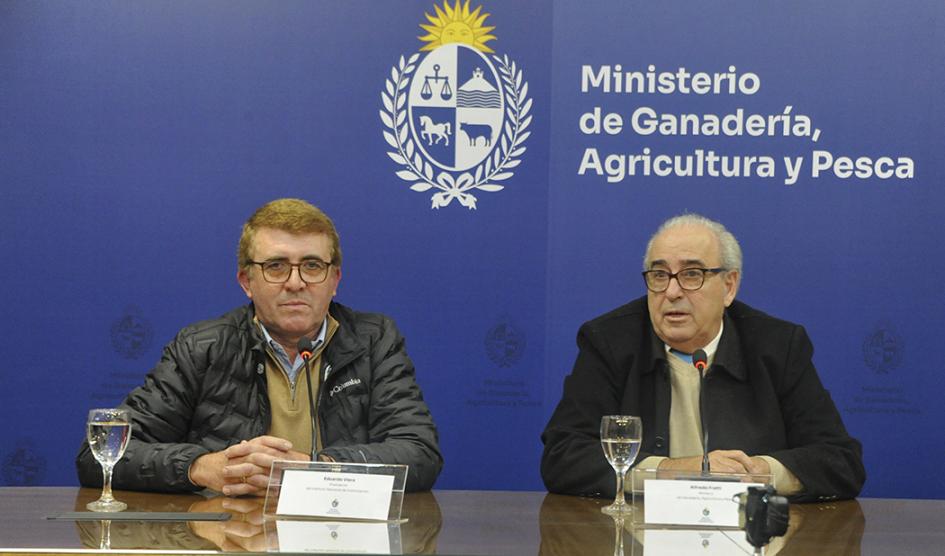 Viera renunció a la presidencia de Colonización