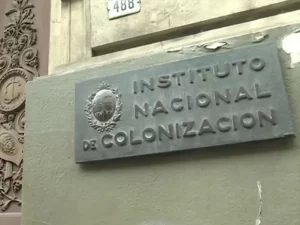 Manassi: es como comprar un campo en 18 y Ejido, ya está todo colonizado ahí
