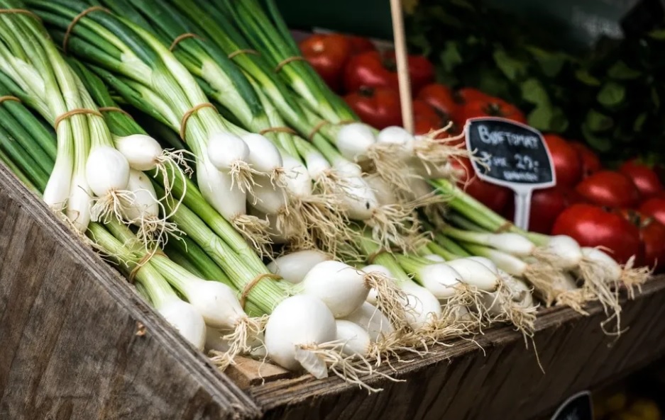 ¿Qué comemos hoy?: La UAM recomienda el consumo de cebolla de verdeo, lechuga, calabacín, acelga, pepino, mandarina, zanahoria y limón