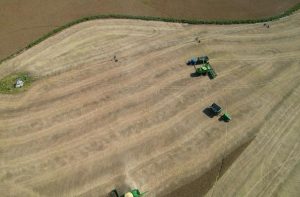 Uru-Agro: rinde de soja bajo riego se acerca a 6.000 kilos; “hay margen para mejorar“