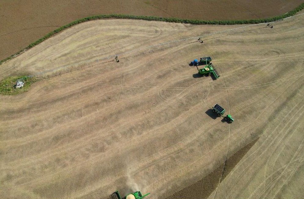 Uru-Agro: rinde de soja bajo riego se acerca a 6.000 kilos; “hay margen para mejorar“