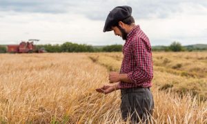 Hoy 15 de mayo se celebra el Día de la Educación Rural