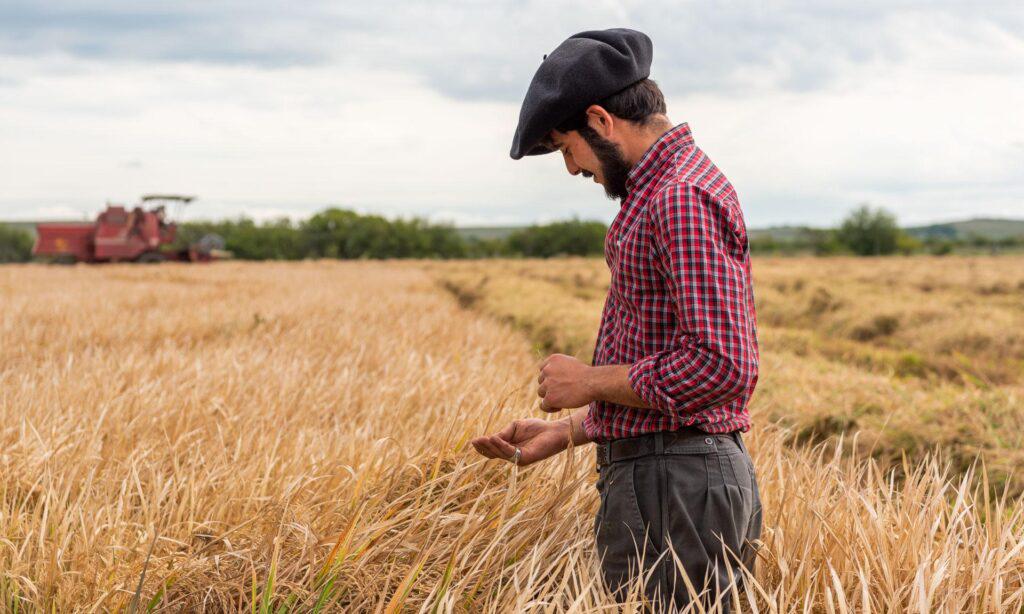 Hoy 15 de mayo se celebra el Día de la Educación Rural