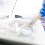 Capurro: los copagos de los tratamientos de fertilización asistida son muy gravosos