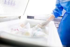 Capurro: los copagos de los tratamientos de fertilización asistida son muy gravosos