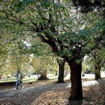 Pronóstico del tiempo de José María Rodríguez
