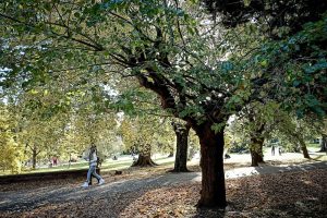Pronóstico del tiempo de José María Rodríguez