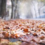 Pronóstico del tiempo de José María Rodríguez