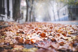 Pronóstico del tiempo de José María Rodríguez