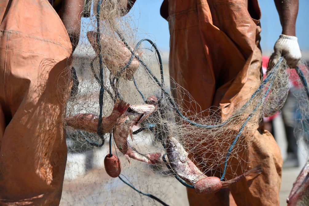 Conflicto en la pesca afecta a cientos de trabajadores en tierra: Funcionarios de plantas pesqueras se movilizan por falta de materia prima