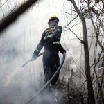 Bomberos advierten sobre baja esperanza de vida y reclaman reforma jubilatoria: Uno de cada tres efectivos no llega a los 59 años Bomberos advierten sobre baja esperanza de vida y reclaman reforma jubilatoria: Uno de cada tres efectivos no llega a los 59 años