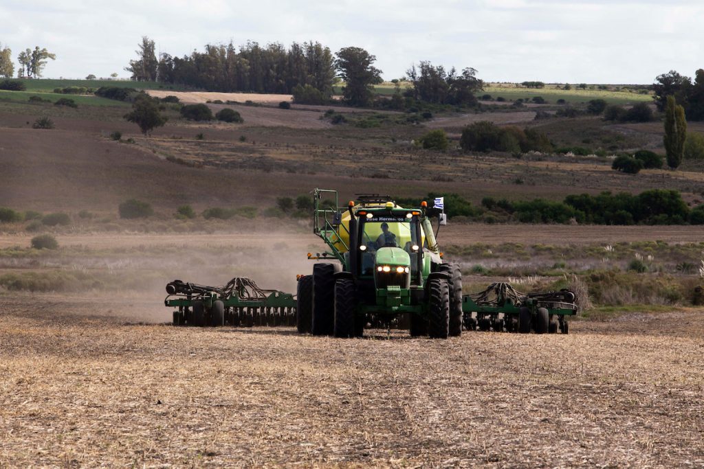 Se confirma cosecha récord de soja