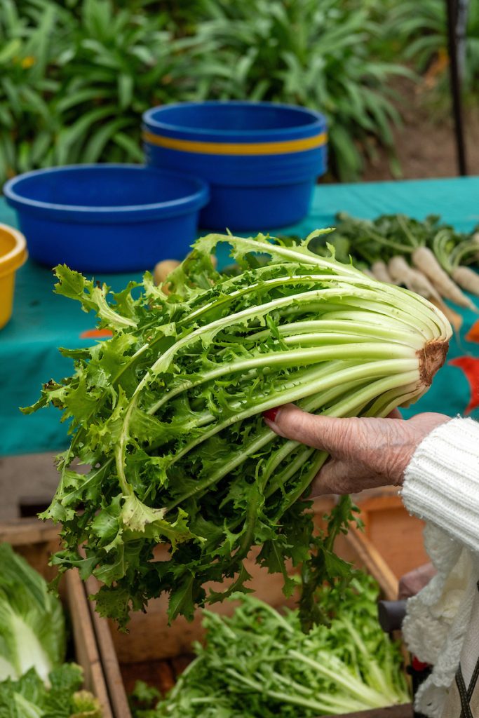 Productores preocupados por bajas temperaturas