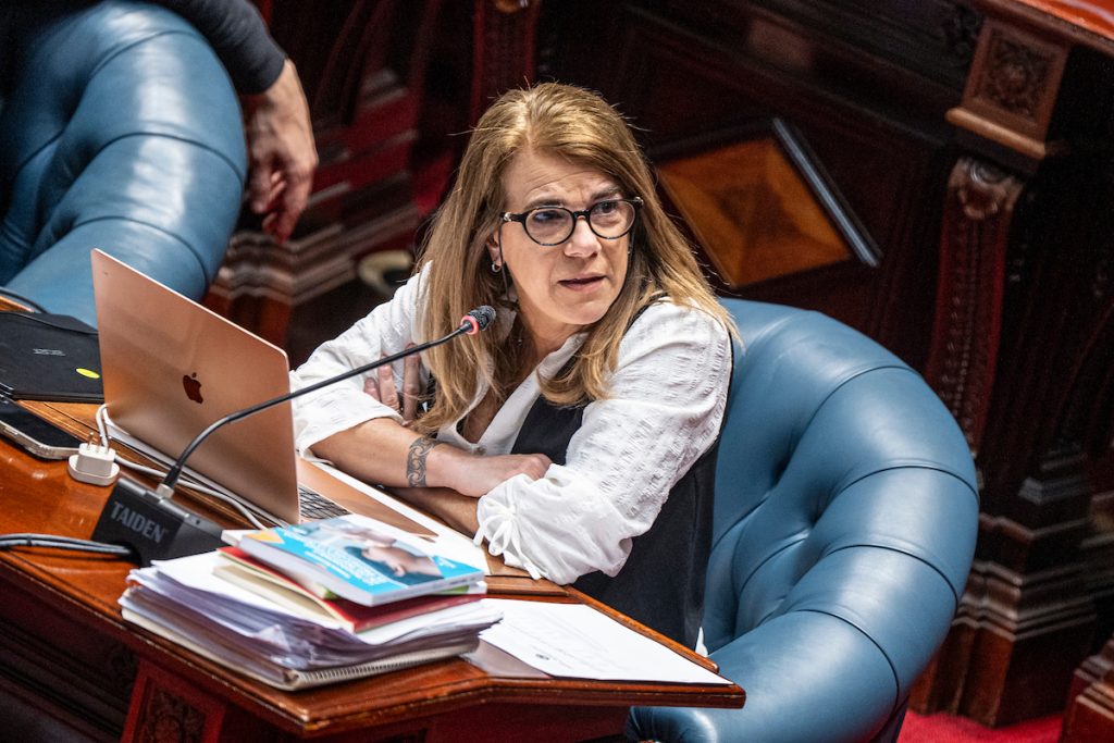 Nane sobre su salida del Parlamento para la IM: «Las decisiones colectivas tienen un montón de elementos, algunos prefiero mantenerlos en reserva»