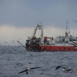 Continúa el paro de barcos costeros en plena zafra: Fuerte impacto laboral y económico