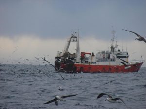 Continúa el paro de barcos costeros en plena zafra: Fuerte impacto laboral y económico
