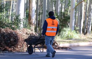 Nuevos jornales solidarios: menos beneficiarios, más tiempo y más plata