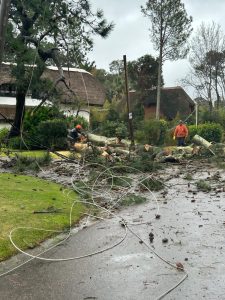 Maldonado: rachas de vientos de hasta más de 120 km/h dejaron árboles caídos y hogares sin luz